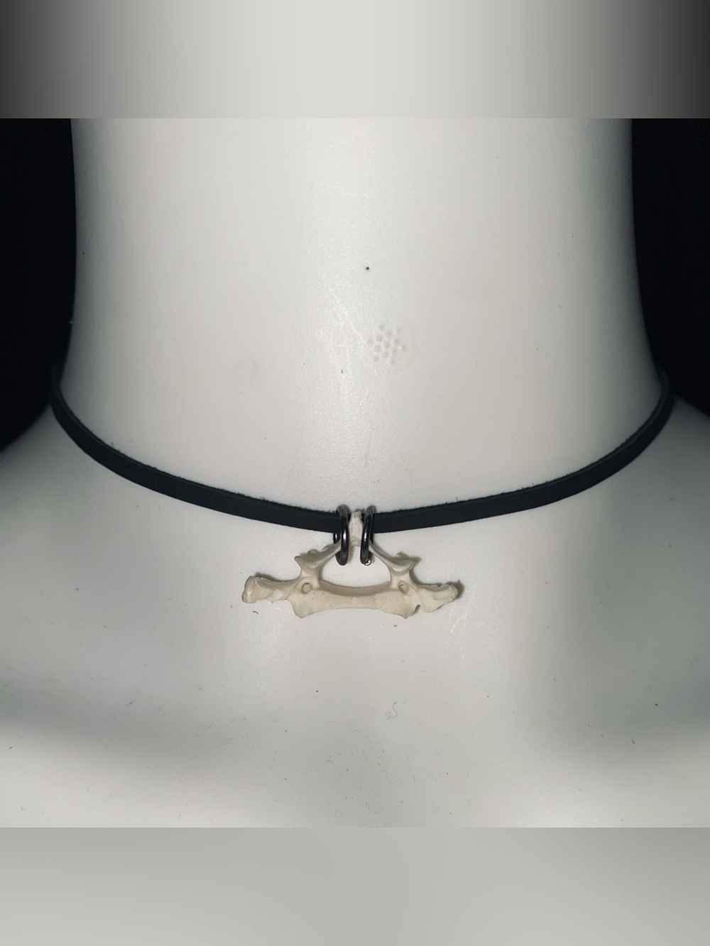 Armadillo Vertebrae bone choker